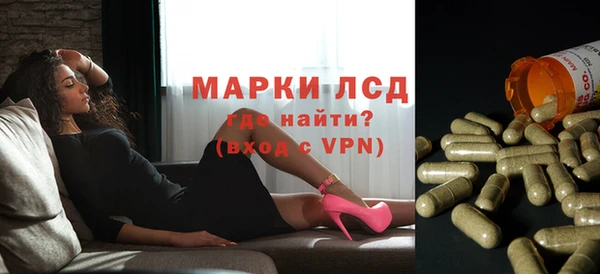 сатива Семикаракорск