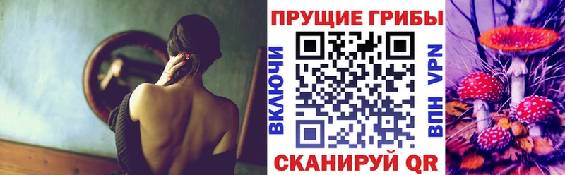 купить закладку  мега ССЫЛКА  Псилоцибиновые грибы Cubensis  Кулебаки 
